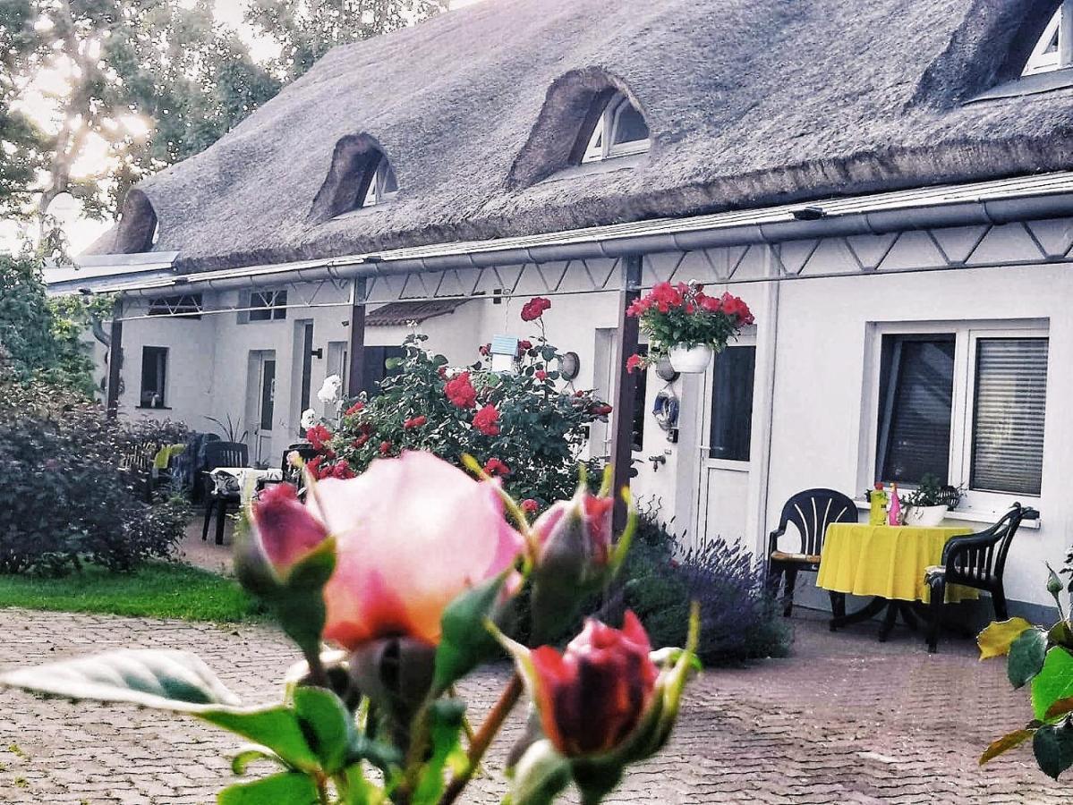 Reet Landhaus Ruegen Ummanz Dış mekan fotoğraf