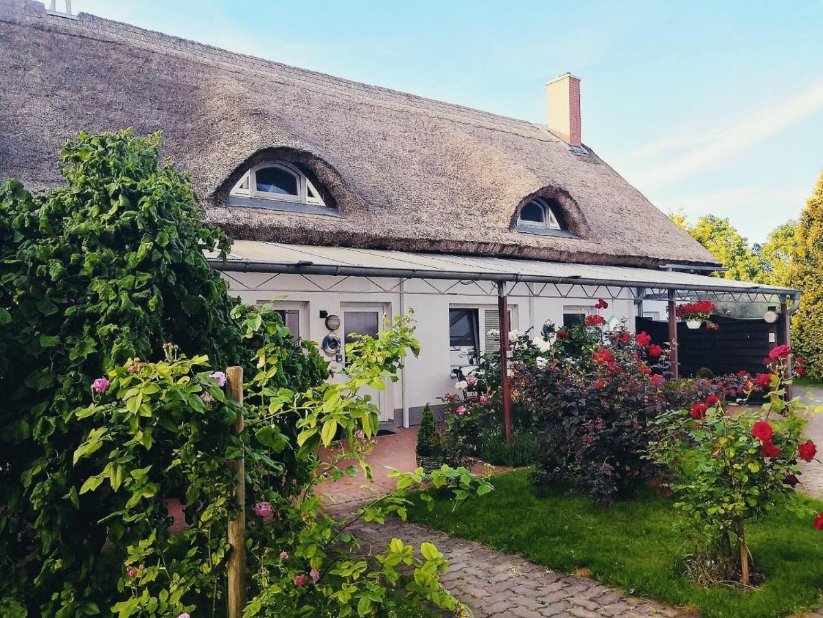 Reet Landhaus Ruegen Ummanz Dış mekan fotoğraf